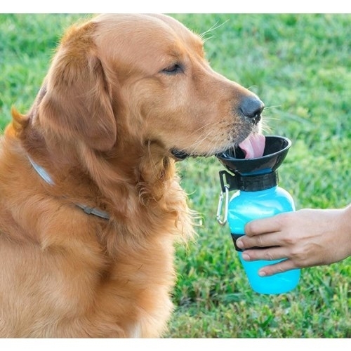 2: Vand Dispenser Flaske til Hunde - InnovaGoods