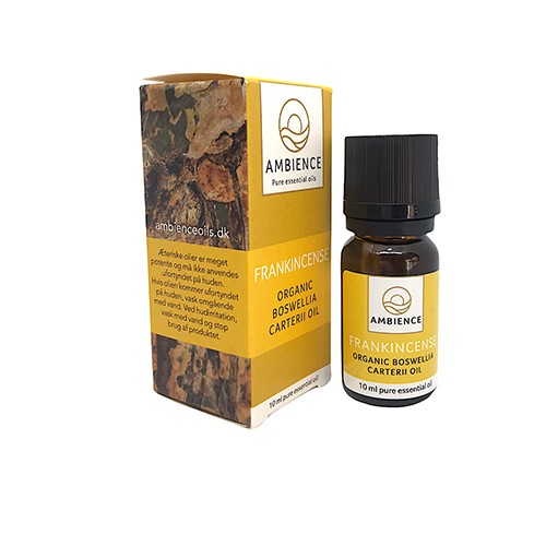 Billede af Frankincense olie - 10 ml - Ambience