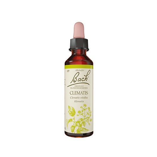 Billede af Bach Almindelig Skovranke - 10 ml - Bach Originale Blomsterremedier