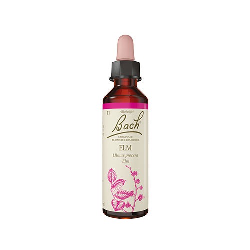 Billede af Bach Elm - 10 ml - Bach Originale Blomsterremedier