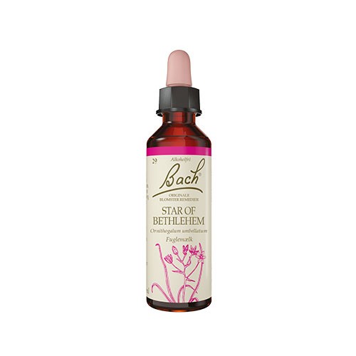 Billede af Bach Kost Fuglemælk - 10 ml