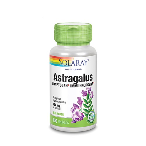 Astragalus 800 mg - 100 kap - Solaray